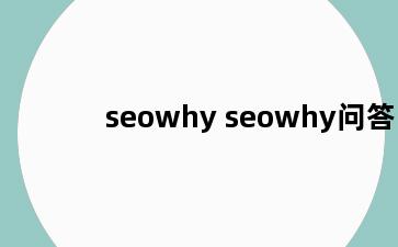 seowhy seowhy问答